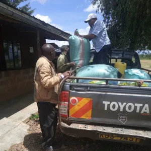 IMG_20230516_104143_643